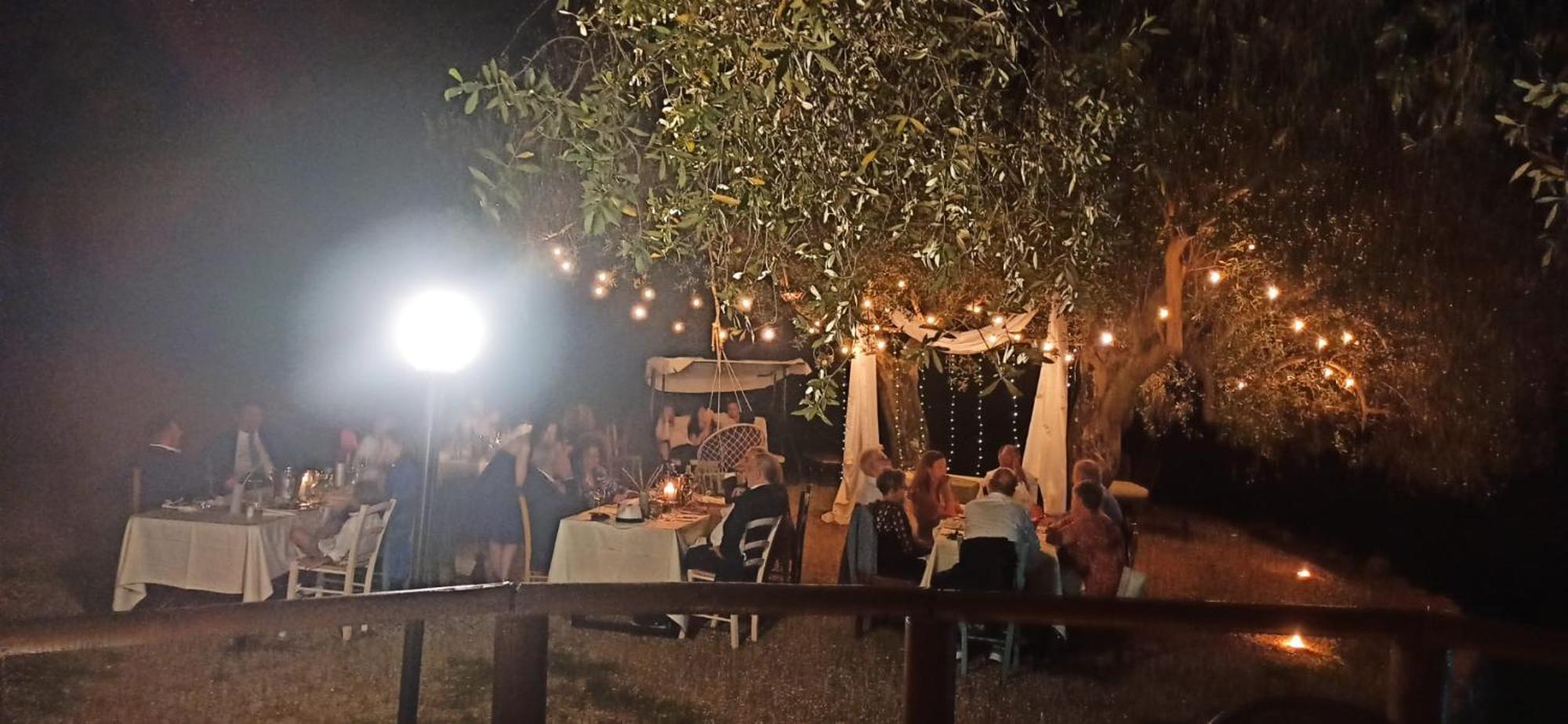 Tenuta Terre Di Bosco Oasi Di Relax Nel Cilento San Giovanni a Piro Dış mekan fotoğraf