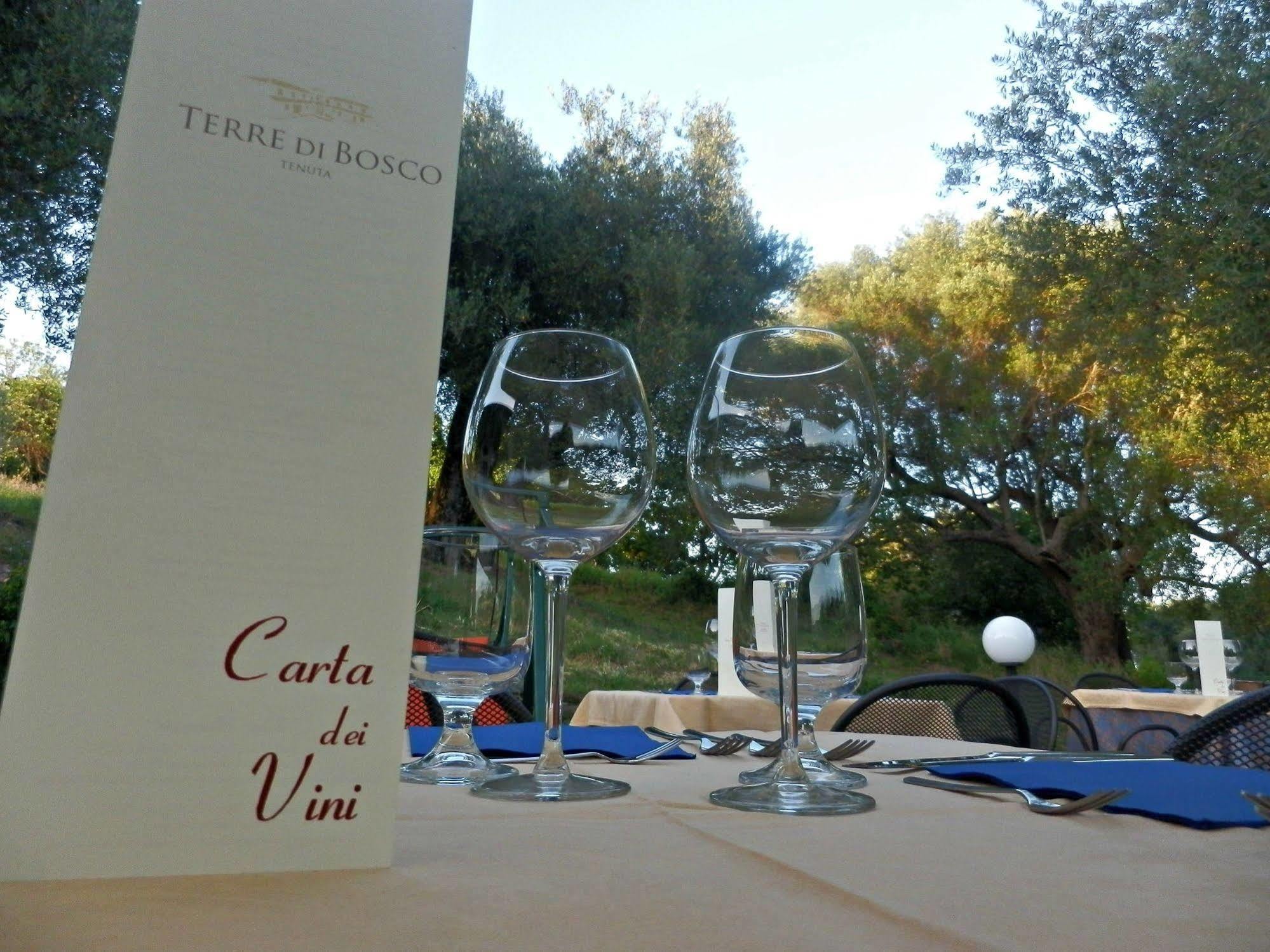 Tenuta Terre Di Bosco Oasi Di Relax Nel Cilento San Giovanni a Piro Dış mekan fotoğraf